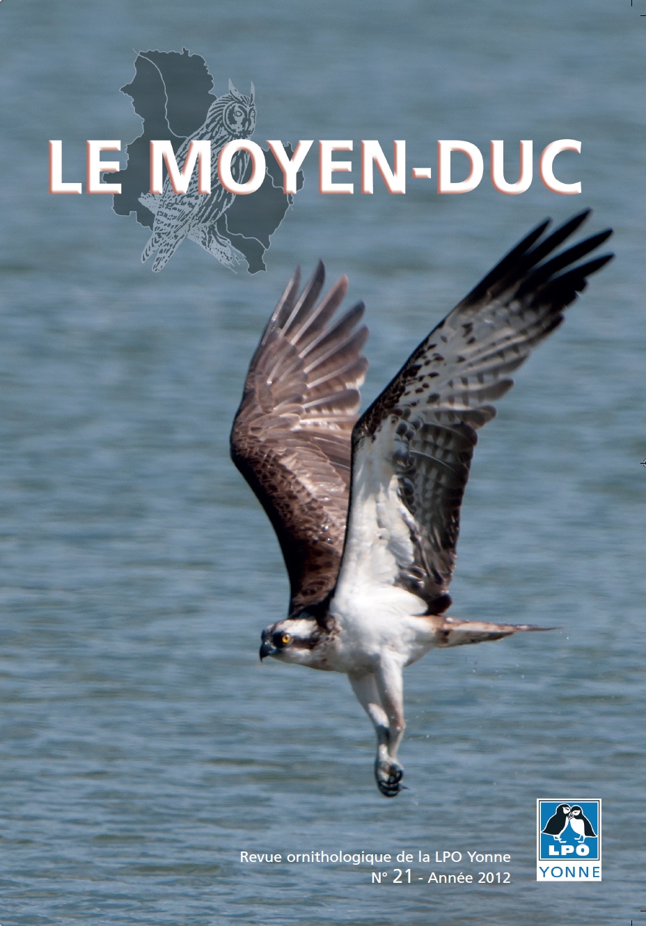 https://cdnfiles1.biolovision.net/www.faune-yonne.org/userfiles/LeMoyenduc/2012/CouvertureleMoyen-ducn21.jpg