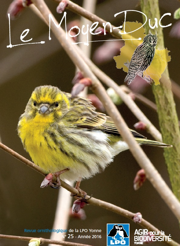 https://cdnfiles1.biolovision.net/www.faune-yonne.org/userfiles/LeMoyenduc/Sanstitre.jpg