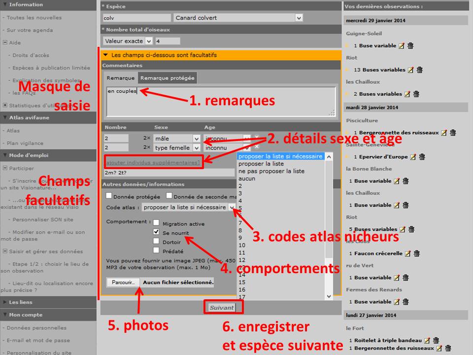 https://cdnfiles1.biolovision.net/www.faune-yonne.org/userfiles/TutorielpourFauneyonne/TutopourFY-12.jpg