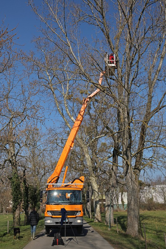 https://cdnfiles1.biolovision.net/www.gobg.ch/userfiles/Choucas/Nacelle.jpg