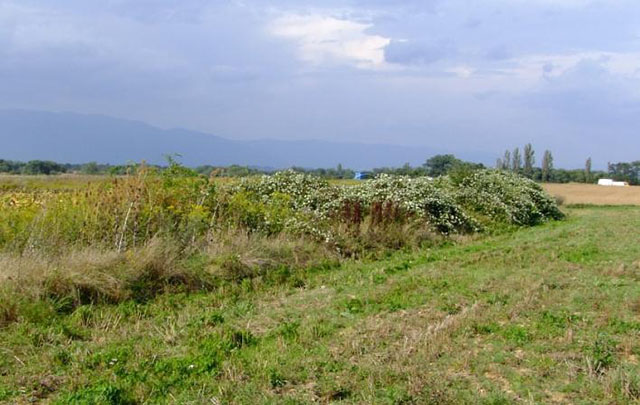 Bande refuge