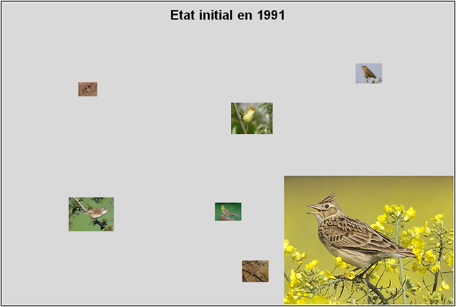 Passereaux à Laconnex en 1991