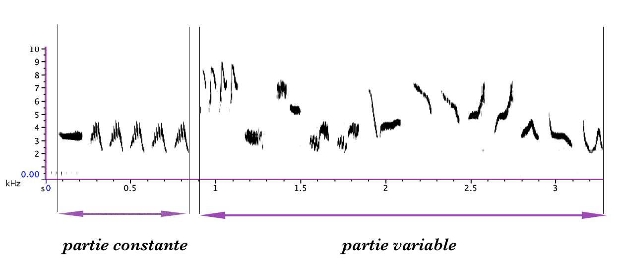 https://cdnfiles1.biolovision.net/www.gobg.ch/userfiles/RQFB/Structureduchant.png