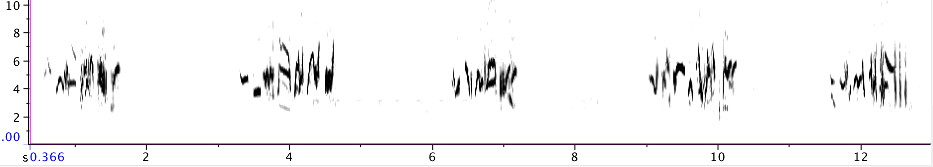 https://cdnfiles1.biolovision.net/www.gobg.ch/userfiles/Sonagramme_1.png