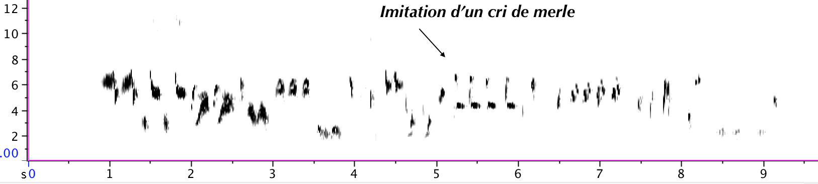 https://cdnfiles1.biolovision.net/www.gobg.ch/userfiles/sonagramme_1.png