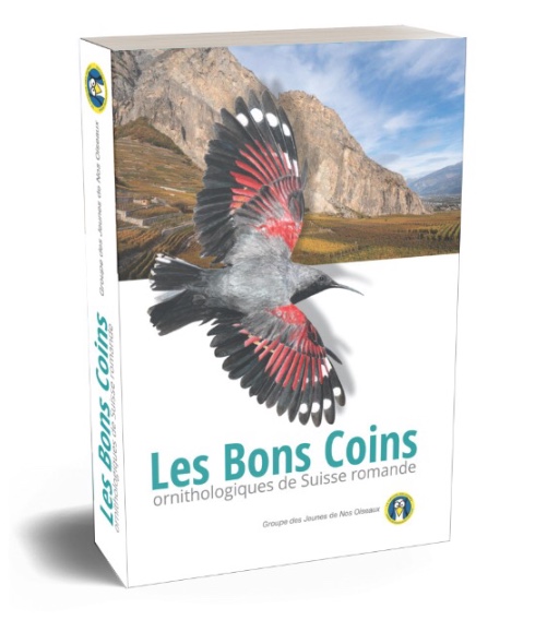 https://cdnfiles1.biolovision.net/www.lecof.ch/userfiles/News/BonsCoins.jpg