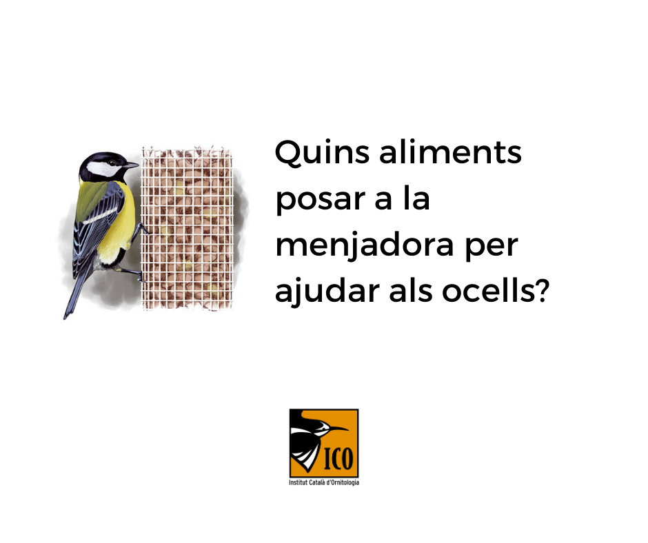 https://cdnfiles1.biolovision.net/www.ocellsdelsjardins.cat/userfiles/1_1.png