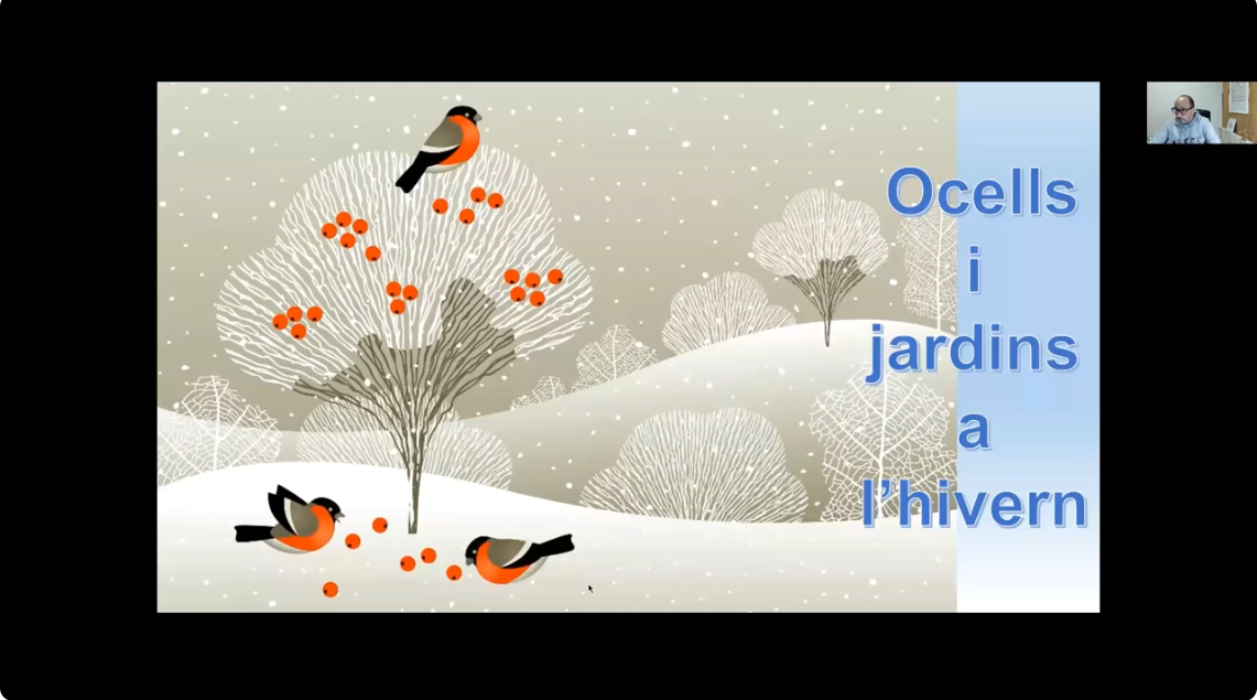 https://cdnfiles1.biolovision.net/www.ocellsdelsjardins.cat/userfiles/Noticies/Capturadepantalla2026-01-23113633.png
