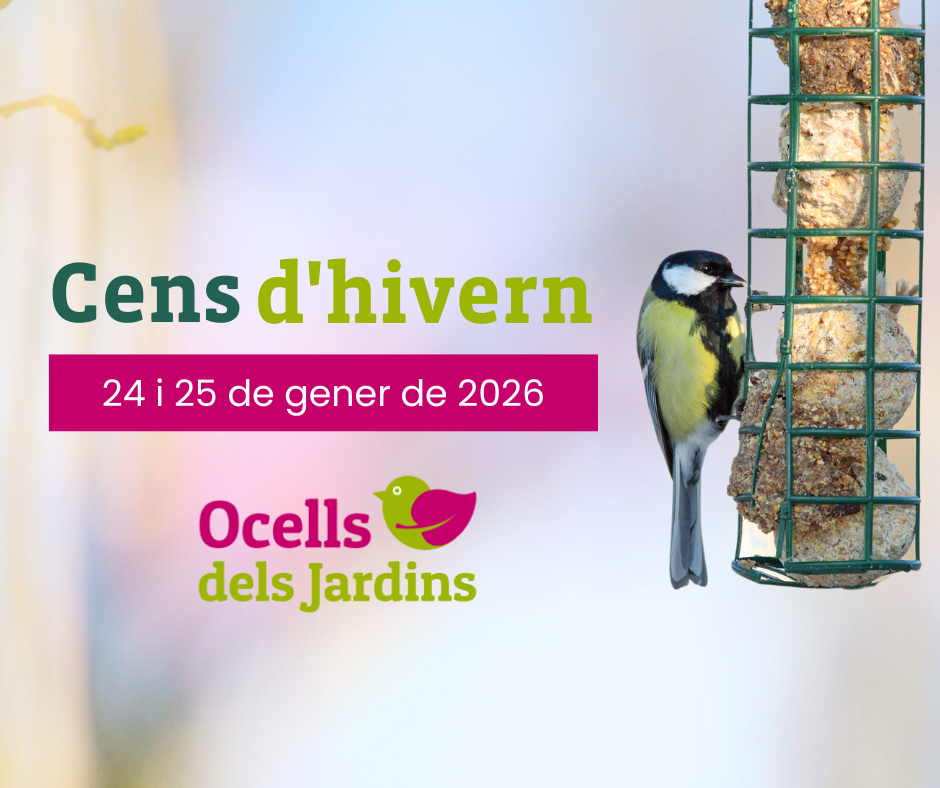 https://cdnfiles1.biolovision.net/www.ocellsdelsjardins.cat/userfiles/Noticies/Censhivern2026.png