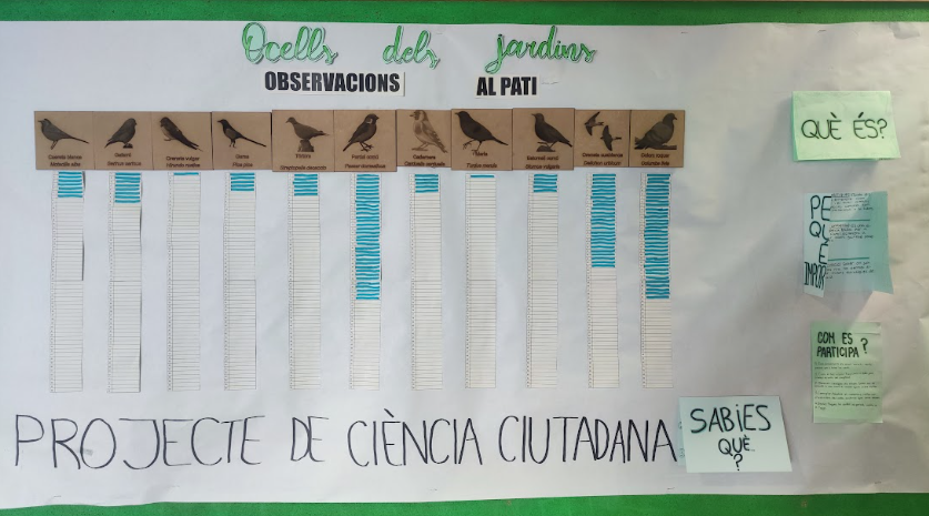https://cdnfiles1.biolovision.net/www.ocellsdelsjardins.cat/userfiles/Noticies/MuralInsMontgrs.png