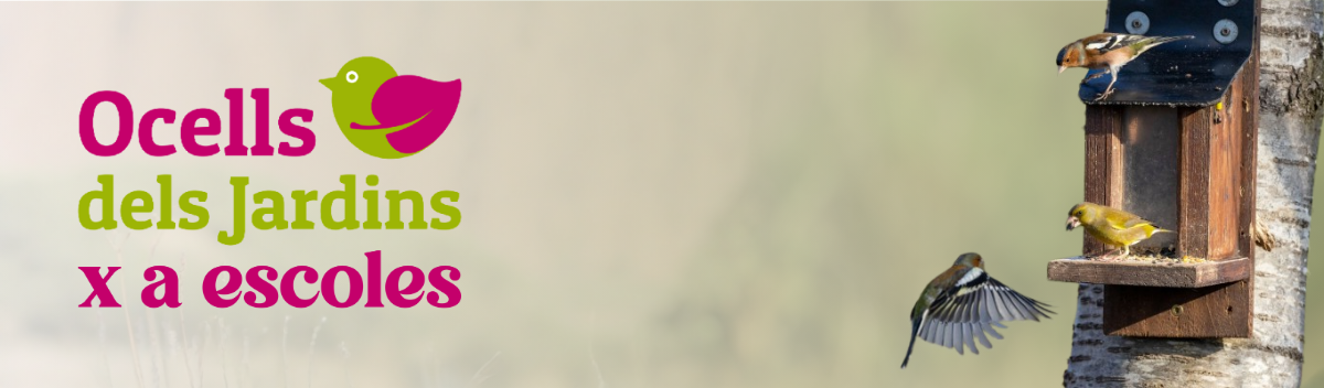https://cdnfiles1.biolovision.net/www.ocellsdelsjardins.cat/userfiles/Noticies/POrtadabutlletiOdJxaescoles.png
