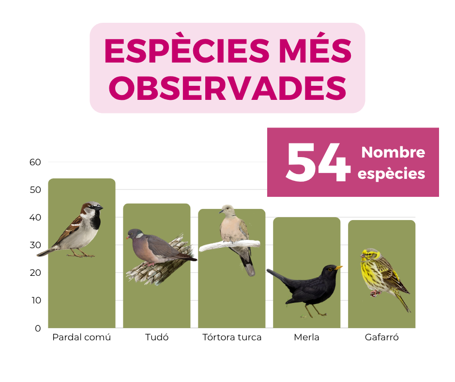 https://cdnfiles1.biolovision.net/www.ocellsdelsjardins.cat/userfiles/OdJ5observades.png