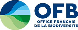 logo OFB