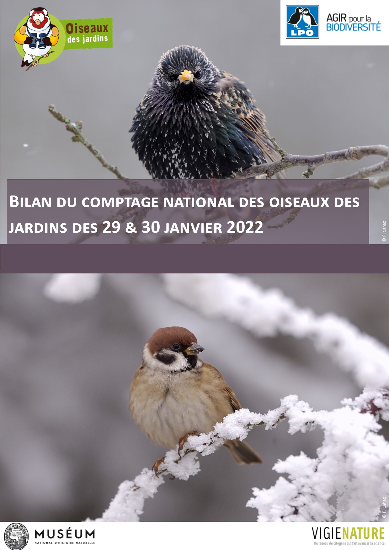 https://cdnfiles1.biolovision.net/www.oiseauxdesjardins.fr/userfiles/Bilancomptagejanvier2022.jpg