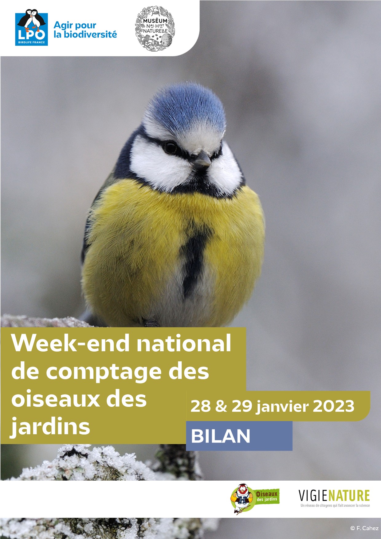 https://cdnfiles1.biolovision.net/www.oiseauxdesjardins.fr/userfiles/Bilancomptagejanvier2023VF.jpg