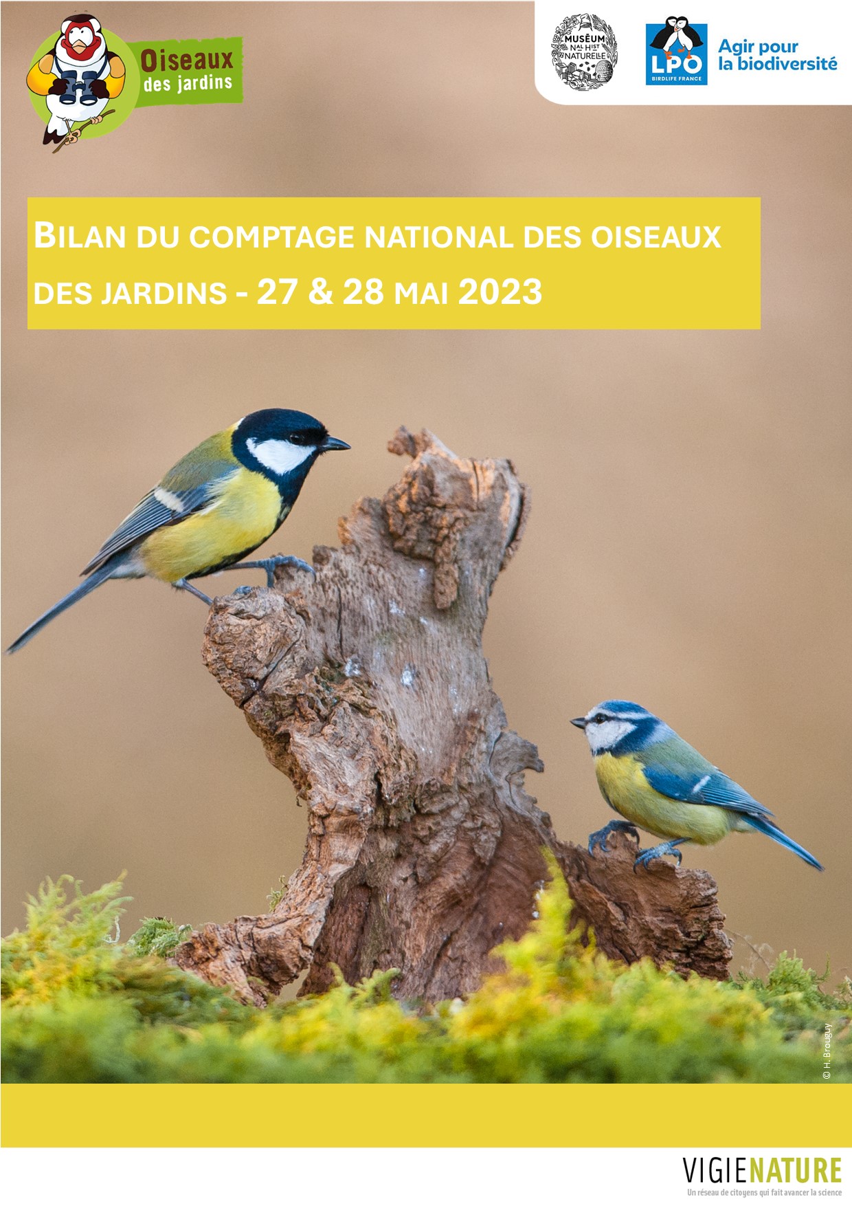 https://cdnfiles1.biolovision.net/www.oiseauxdesjardins.fr/userfiles/VisuelBilancomptageodjmai2023.jpg
