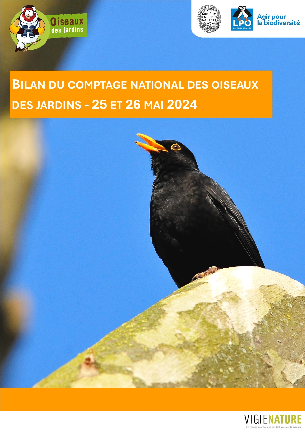 https://cdnfiles1.biolovision.net/www.oiseauxdesjardins.fr/userfiles/VisuelBilancomptageodjmai2024.jpg