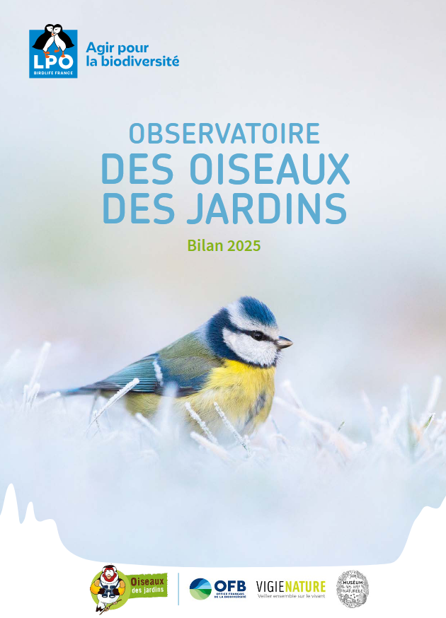 https://cdnfiles1.biolovision.net/www.oiseauxdesjardins.fr/userfiles/Visuelbilan2025.png