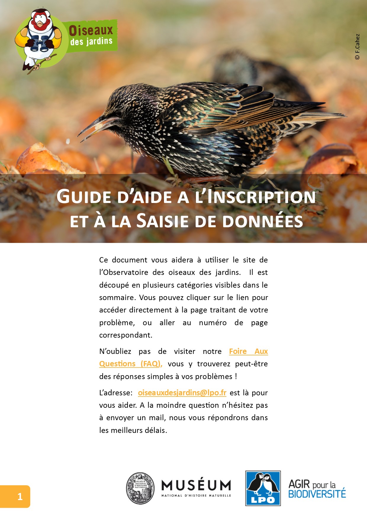 https://cdnfiles1.biolovision.net/www.oiseauxdesjardins.fr/userfiles/photopremirepage.jpg