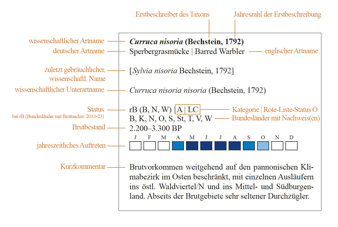 https://cdnfiles1.biolovision.net/www.ornitho.at/userfiles/figure1.jpg