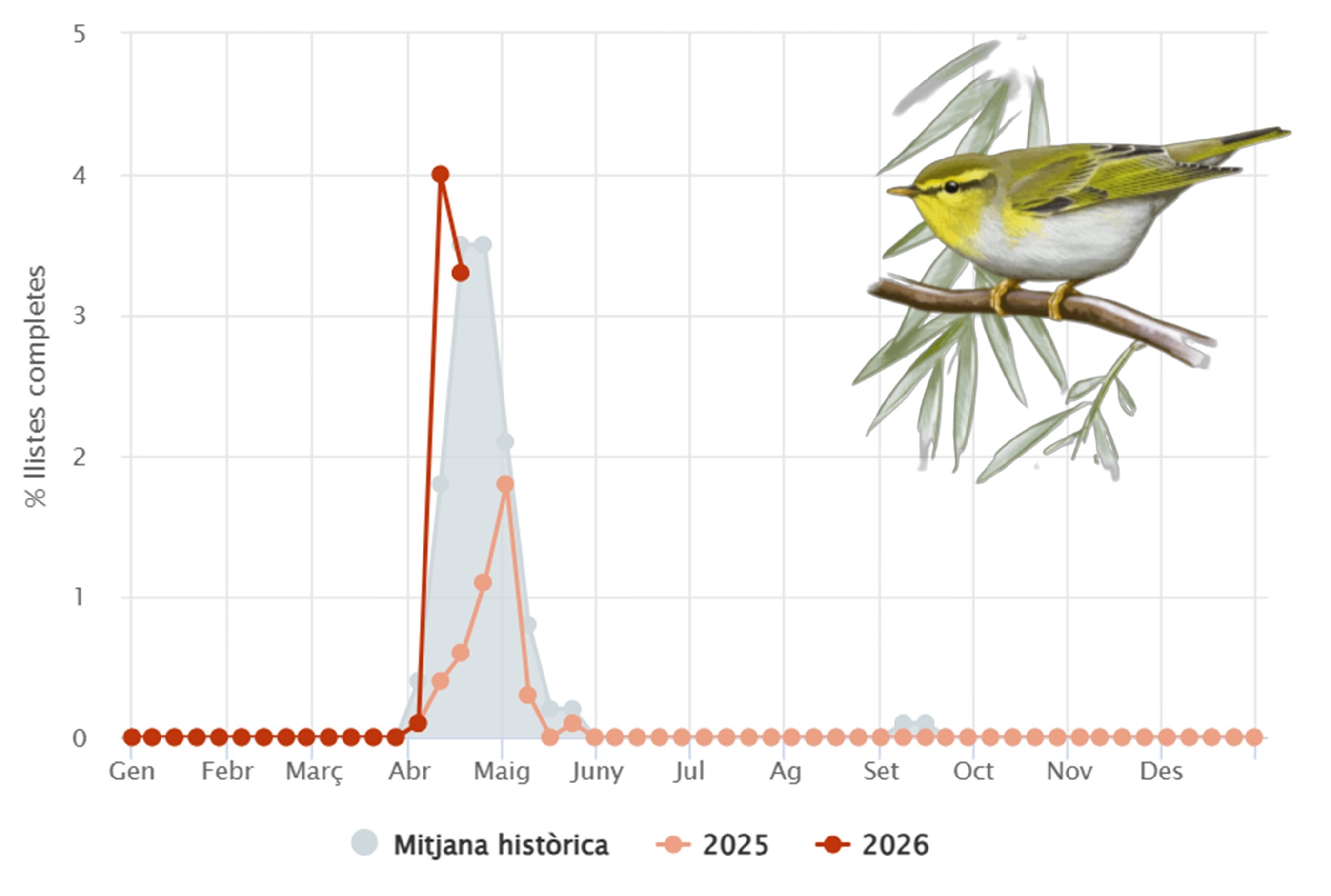 https://cdnfiles1.biolovision.net/www.ornitho.cat/userfiles/Noticies/Sibilatrix/2.patr.jpg