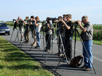 https://cdnfiles1.biolovision.net/www.ornitho.de/userfiles/Wilhelmshaven050808.jpg
