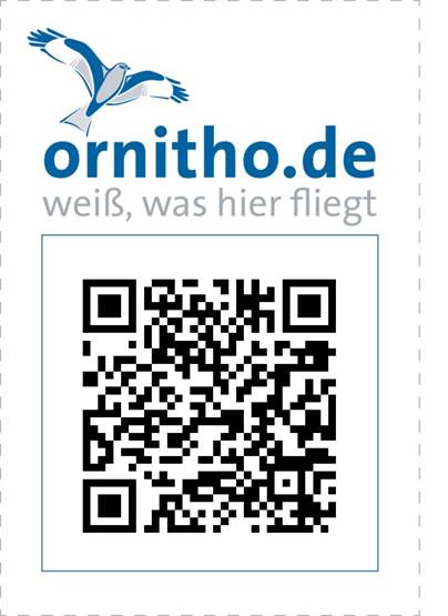 https://cdnfiles1.biolovision.net/www.ornitho.de/userfiles/infoblaetter/Anleitungen/QRCodes/Beispielcode.jpg